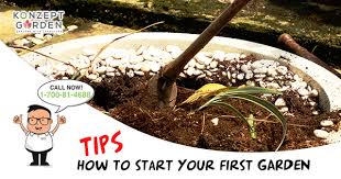 How To Start Your First Plant Garden