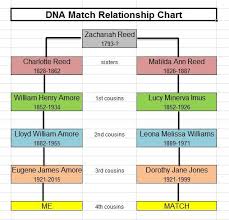 Dna All My Branches Genealogy