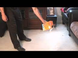 carpet cleaning how to remove mildew