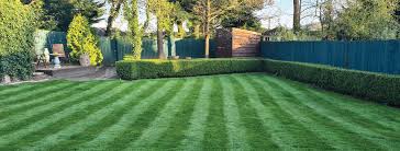 Maybe you would like to learn more about one of these? Lawn Care Treatment Maintenance Service Greenthumb