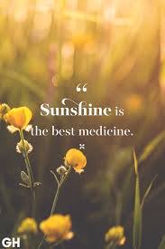 The sun is such a warm and constant presence in life that it has become much more than just a ball of fire in the sky for us. Best 45 Inspirational Sunshine Quotes Captions For Instagram Captionsgram