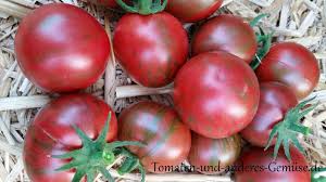 > potagères>tomate>tomate cerise>tomate purple bumble bee. Https Xn Tomaten Und Anderes Gemse 1wc De Purple Bumble Bee Kirschtomate