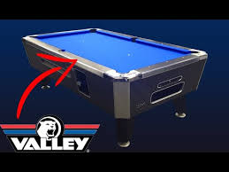 valley panther black cat 101 pool