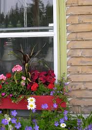 how to make a window garden grow
