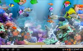 50 live aquarium wallpaper with sound