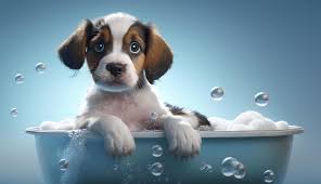 cute puppy dog in bathtub pets