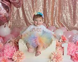Pastel Tutu Cake Smash First 1st Birthday Baby Girls Outfit Baby Girl  gambar png