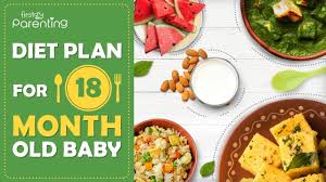 18 Months Old Baby Food Ideas Along With Recipes