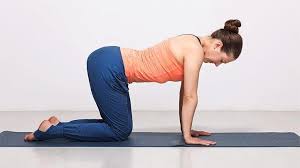8 yoga poses for beginners and their