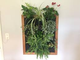 Considering installing one in the kitchen, and outfitting it with. Indoor Plant Wall I Made Recently 95cm X 84cm Including Frame Gardening