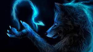 Wolf hd wallpapers backgrounds wallpaper 1920×1080. Cool Wolf Wallpapers 31 Images Wallpaperboat
