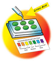 Ph And Color Change Chapter 6 Chemical Change Middle