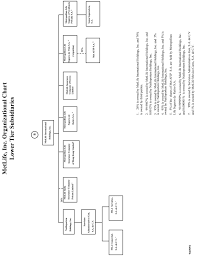 Organizational Structure Of Metlife Inc And Subsidiaries