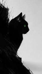 aesthetic black cat hd wallpapers pxfuel