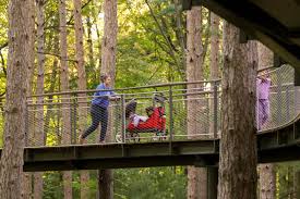 this epic midwest canopy walk is the