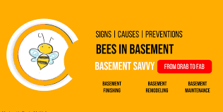 Bees In The Basement Get Rid Of Them