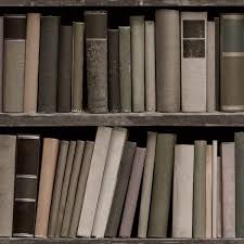 Tempaper Bookshelf Multi Wallpaper