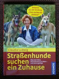 In this program topics related to animal welfare and animal husbandry are discussed. Buch Strassenhunde Suchen Ein Zuhause Von Claudia Ludwig In Rheinland Pfalz Bad Kreuznach Ebay Kleinanzeigen