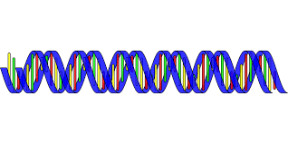 dna sequence representation
