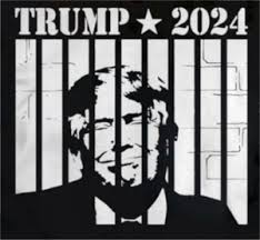 Donald Trump In Jail 2024 Shirt