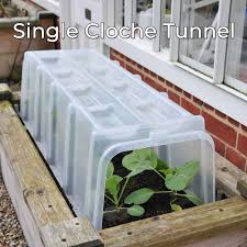mini greenhouse cloche tunnels harrod