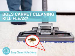 does carpet cleaning kill fleas