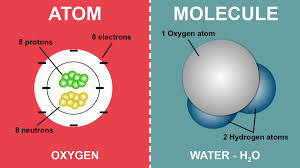 an atom and a molecule