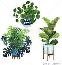 Indoor Plants In A Pot Set Watercolor