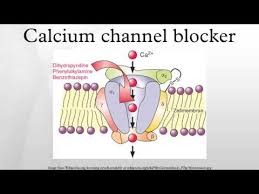 Short-acting Calcium Channel Blockers ile ilgili görsel sonucu