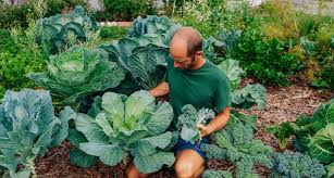 Rob Greenfields Guide To Gardening For Beginners In Orlando