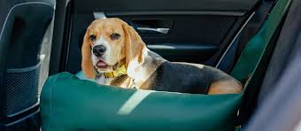 The Best Dog Car Seat In 2022 Pet Side
