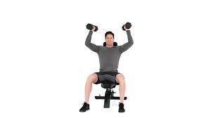 seated dumbbell shoulder press muscle