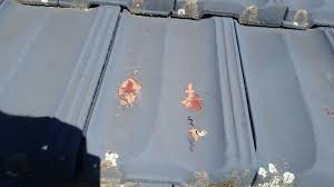 Can You Paint On Terracotta Roof Tiles