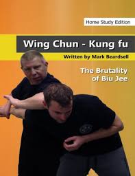 wing chun kung fu the brutality of