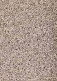 Add warmth and comfort to your home with our extensive range of synthetic carpets. Carpet Cut Pile Loom Verden Meteorite Flooring Xtra