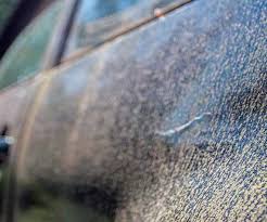 how to remove mold spores from car paint