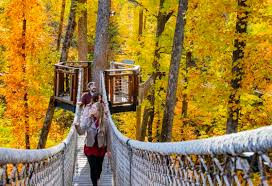 things to do in gatlinburg outdoors