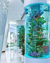 RedFin Aquarium Design gambar png
