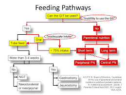 Basics Of Enteral And Parenteral Nutrition Ppt Video