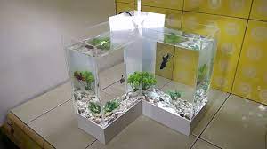 Semua gambar aquarium di atas sangat cocok untuk ikan cupang hias maupun petarung (fighter). Membuat Aquarium Ikan Cupang Model L Youtube