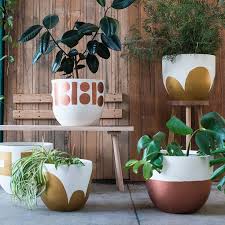 Plant Pot Design Plants Garden Pots