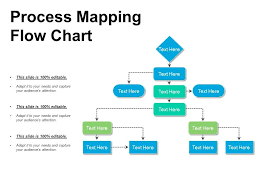 Process Mapping Flow Chart Presentation Design Ppt Images
