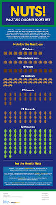 This Is What 200 Calories Of Nuts Looks Like Infographic