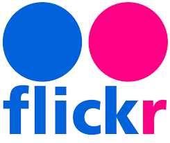 Znalezione obrazy dla zapytania flickr logo