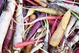 Herby roast potatoes christmas vegetables. How To Grow Your Own Christmas Dinner Features Jamie Oliver