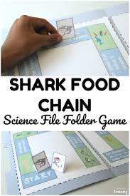 Tell bryan i think he caught a glyphis shark. Sharks A Shark Food Chain Game Look We Re Learning