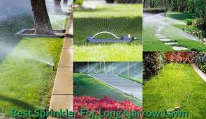 Learning how to efficiently water your lawn will help save you money and preserve this precious natural resource. Best Sprinkler For Long Narrow Lawn Gardeninghow Com