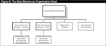 56 Symbolic Business Intelligence Organization Chart