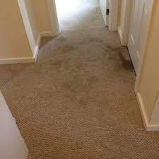 the best 10 carpet cleaning with