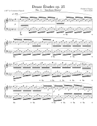 Douze Études, op. 25 (full) Sheet music for Piano (Solo) | Musescore.com
